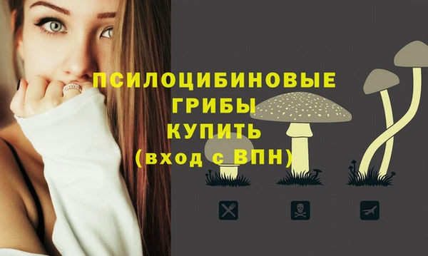 Альфа ПВП Алзамай