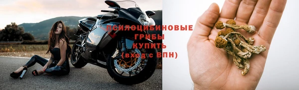 амф Алексеевка
