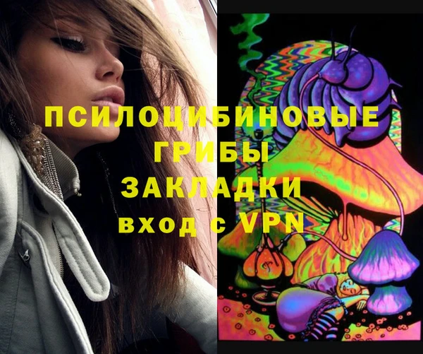 Альфа ПВП Алзамай
