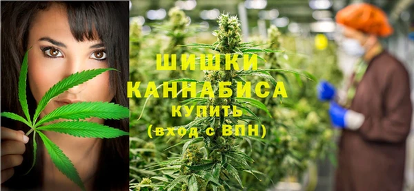 Альфа ПВП Алзамай