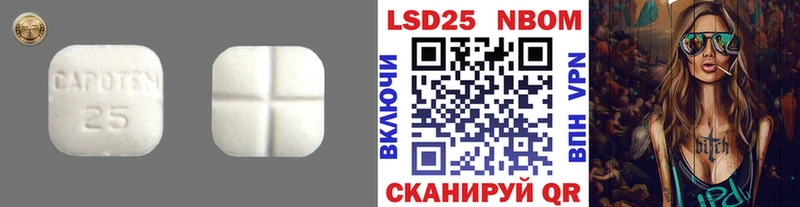 MEGA как зайти Жирновск Лсд 25 экстази ecstasy