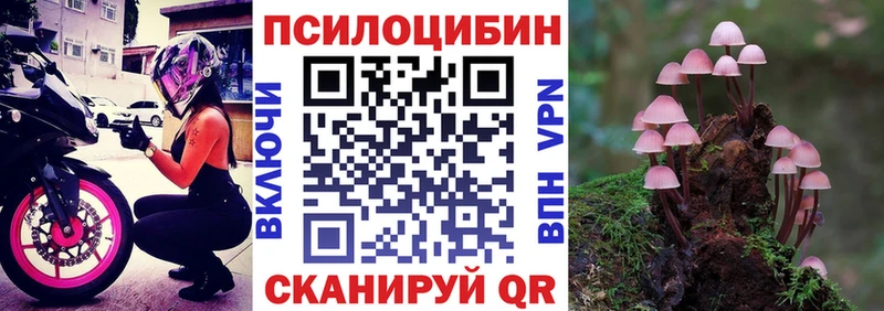 где найти наркотики  Жирновск  Псилоцибиновые грибы мухоморы 